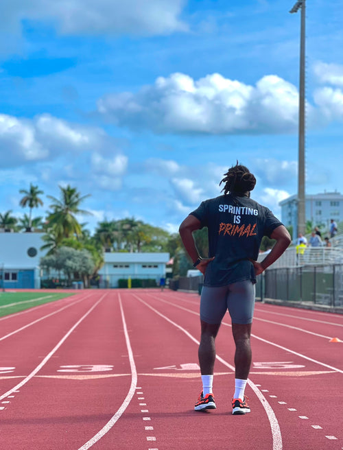 Sprnt Dvsn Cheetah Tee